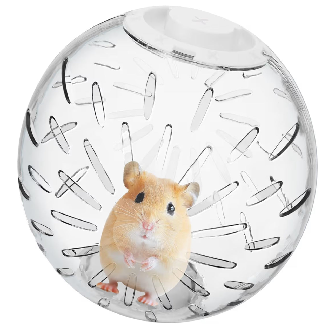 7.9 inch Hamster Ball, Exercise Toys, Running Clear Plastic Balls, Large Space, Easy to Clean, Portable Cage, for Small and Medium Hamsters, Syrian Dwarf Hamster, White